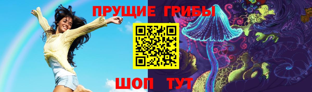 Новороссийск  Галлюциногенные грибы MAGIC MUSHROOMS  Вход с VPN 
